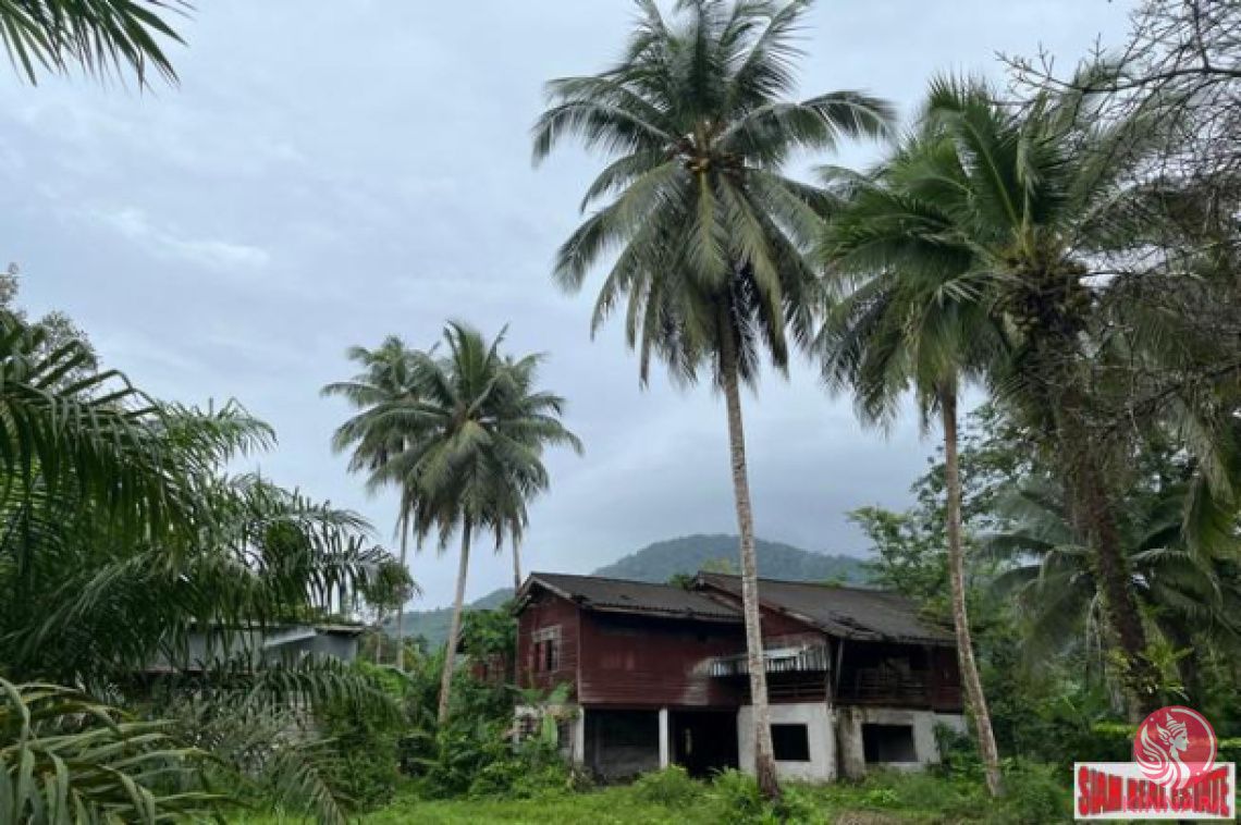 Land in Phang Nga, Thailand - picture 1