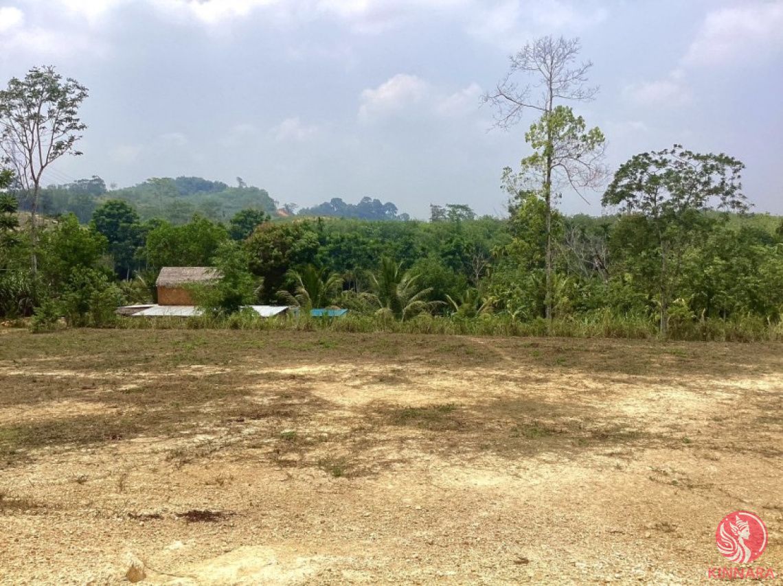 Land in Phang Nga, Thailand, 2 942 m² - picture 1