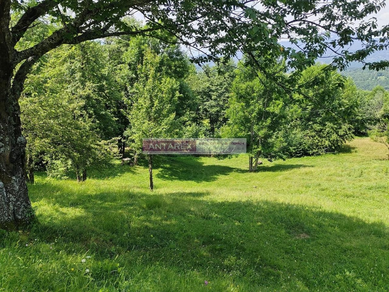 Terreno en Kolasin, Montenegro, 1 313 m² - imagen 4