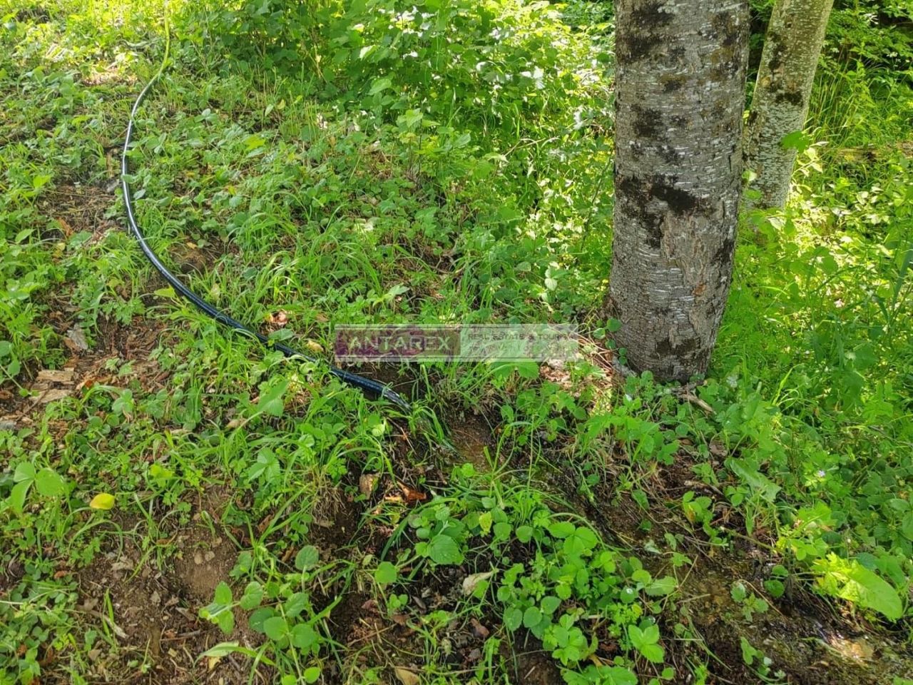 Terreno en Kolasin, Montenegro, 1 313 m² - imagen 9