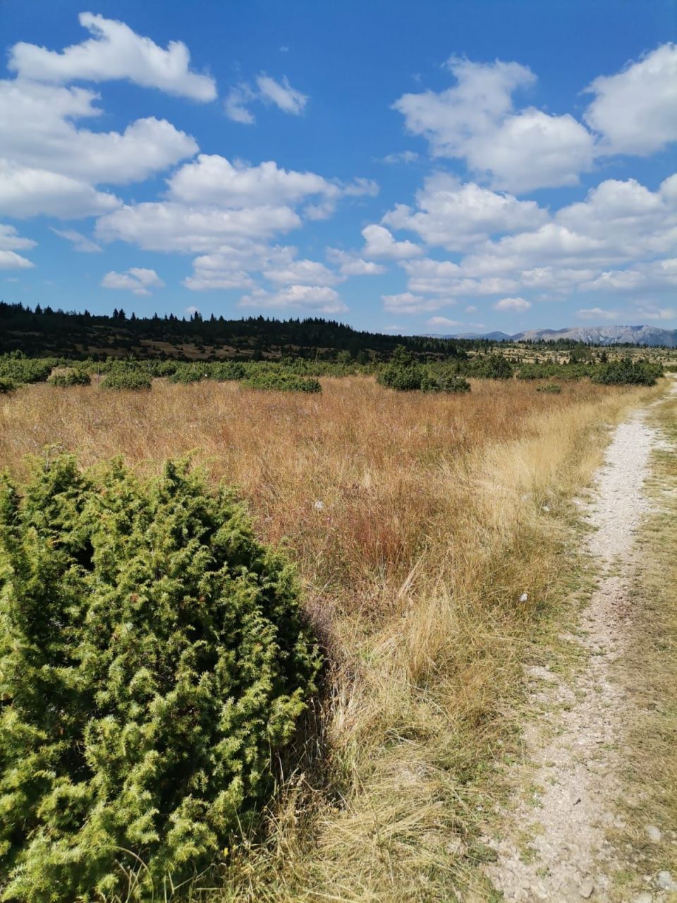 Terreno en Zabljak, Montenegro, 36 000 m² - imagen 1