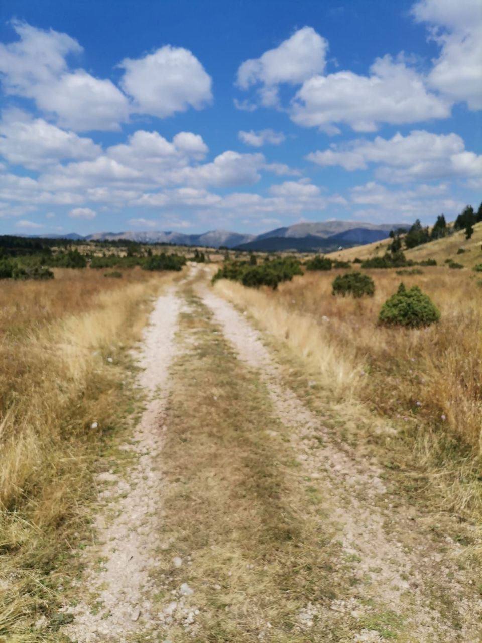 Grundstück in Zabljak, Montenegro, 36 000 m² - Foto 3