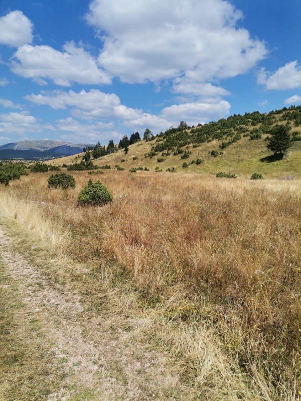 Grundstück in Zabljak, Montenegro, 36 000 m² - Foto 4