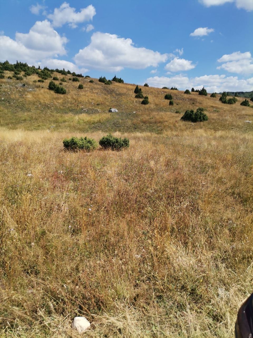 Grundstück in Zabljak, Montenegro, 36 000 m² - Foto 6