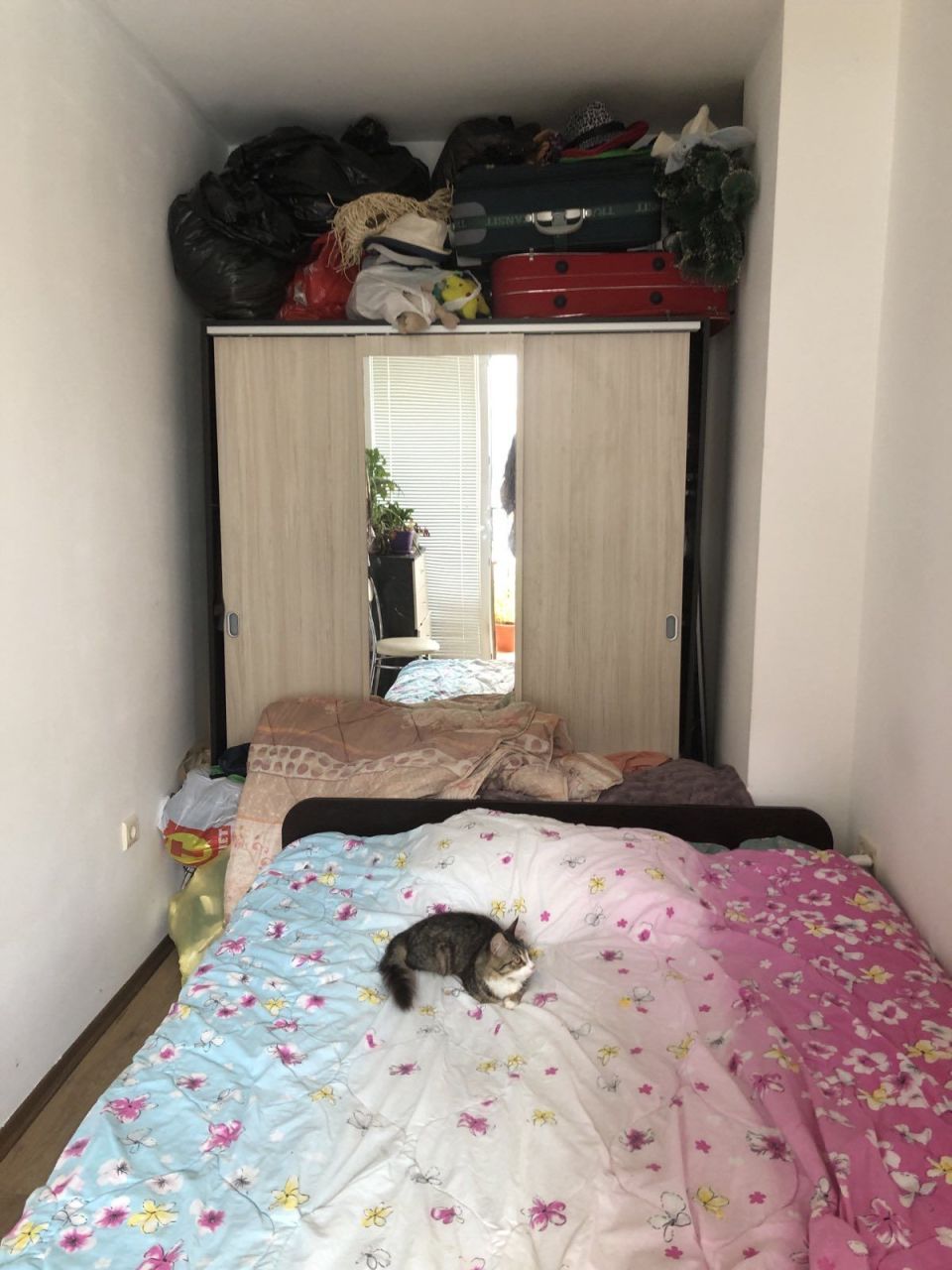 Wohnung in Sonnenstrand, Bulgarien, 50 m² - Foto 2