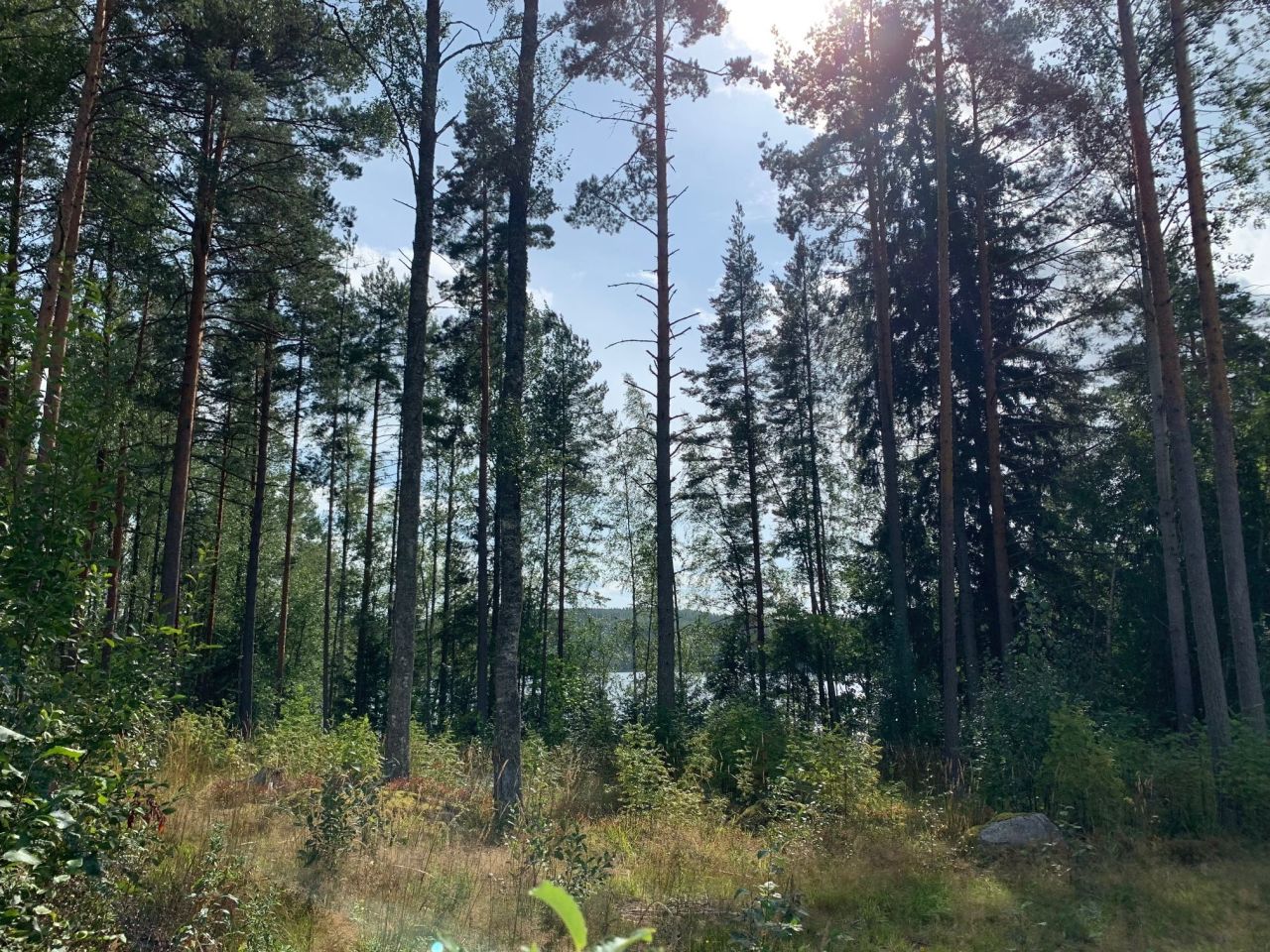 Terreno en Kuhmoinen, Finlandia, 43 000 m² - imagen 11