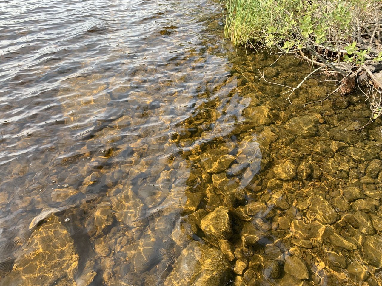 Terreno en Kuhmoinen, Finlandia, 43 000 m² - imagen 8