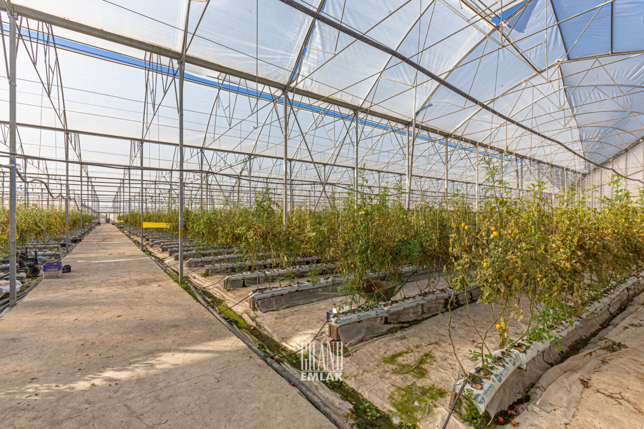 Land in Antalya, Turkey, 267.71 m² - picture 12