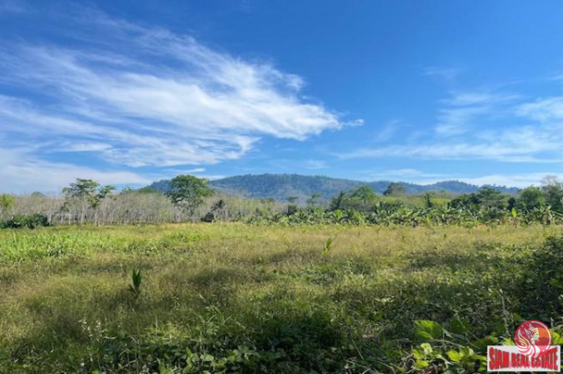 Grundstück in Phang Nga, Thailand, 9 600 m² - Foto 1