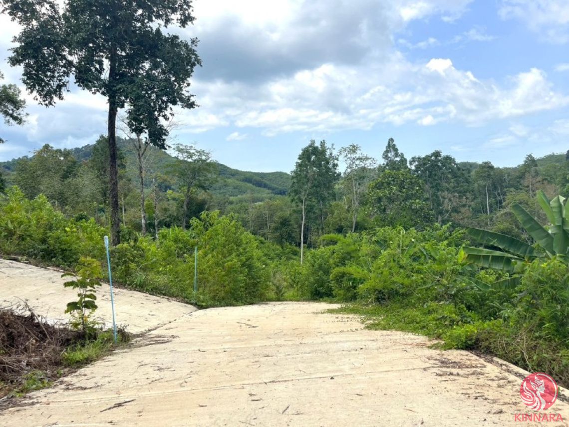 Land in Phang Nga, Thailand, 4 300 m² - picture 1