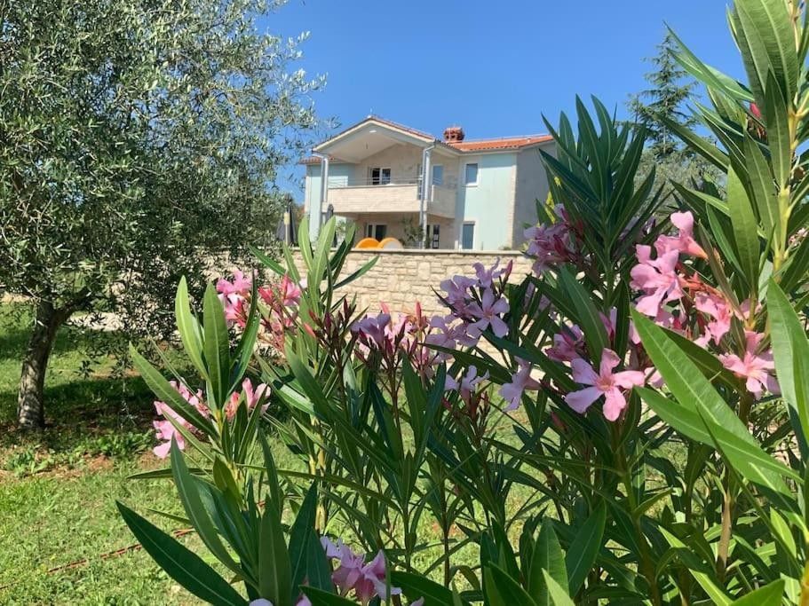 Maison à Vodnjan, Croatie, 270 m² - image 4