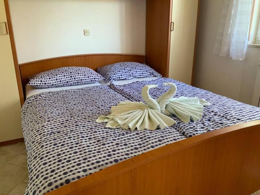 Maison à Vodnjan, Croatie, 270 m² - image 12