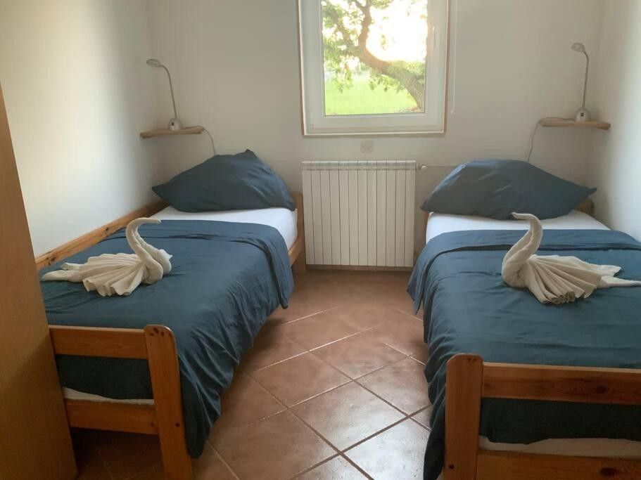 Maison à Vodnjan, Croatie, 270 m² - image 15