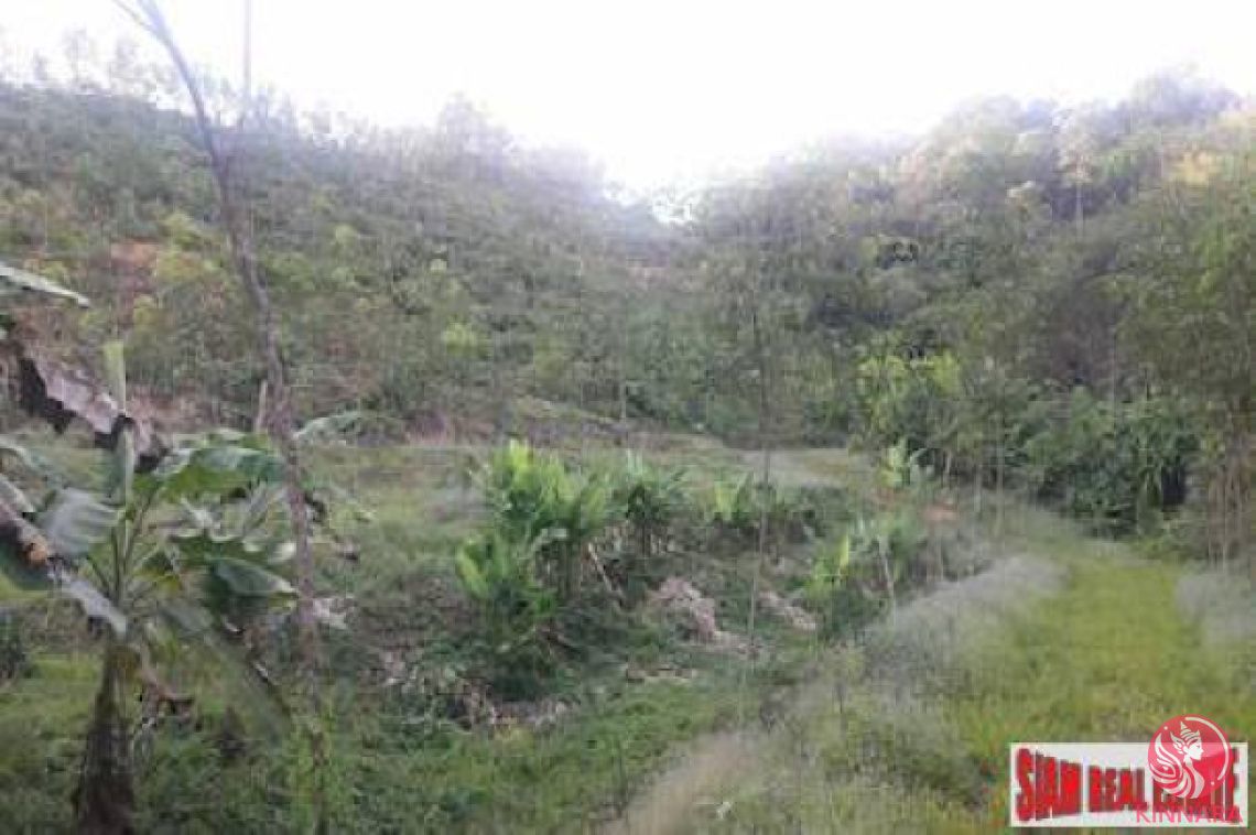 Land in Phang Nga, Thailand, 20 400 m² - picture 1