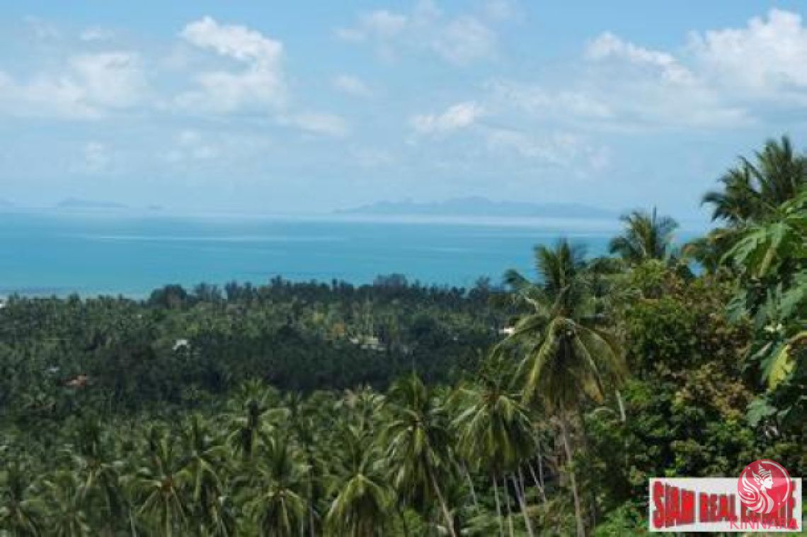 Land in Surat Thani, Thailand, 11 636 m² - picture 1