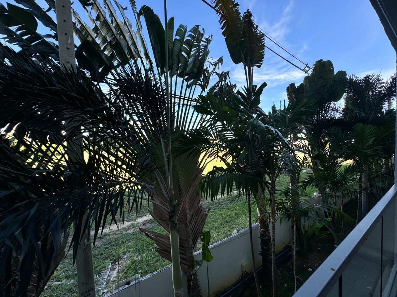 Studio in Pattaya, Thailand, 26 m² - Foto 11