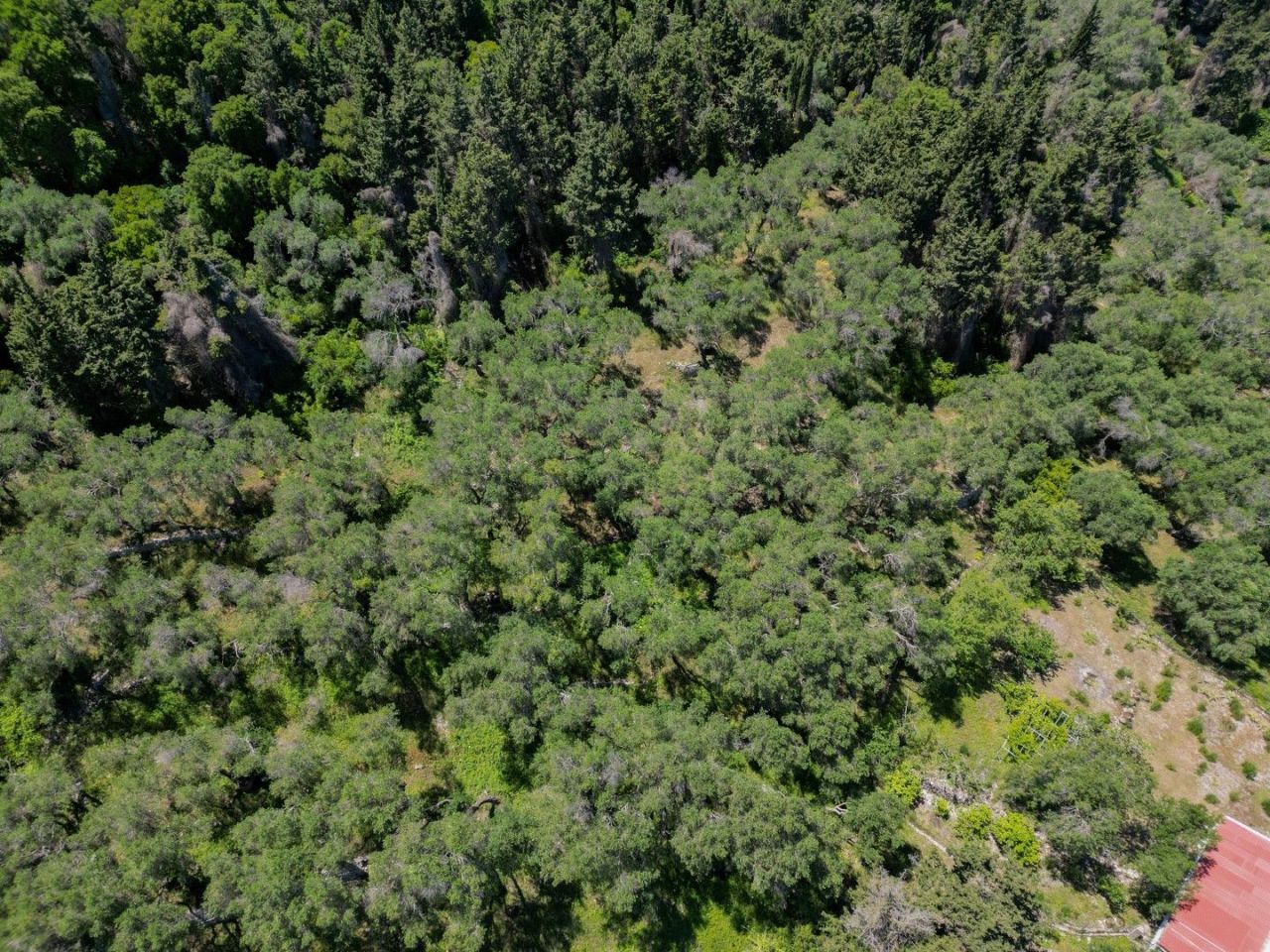 Terreno en las Islas Jónicas, Grecia, 1 421 m² - imagen 1