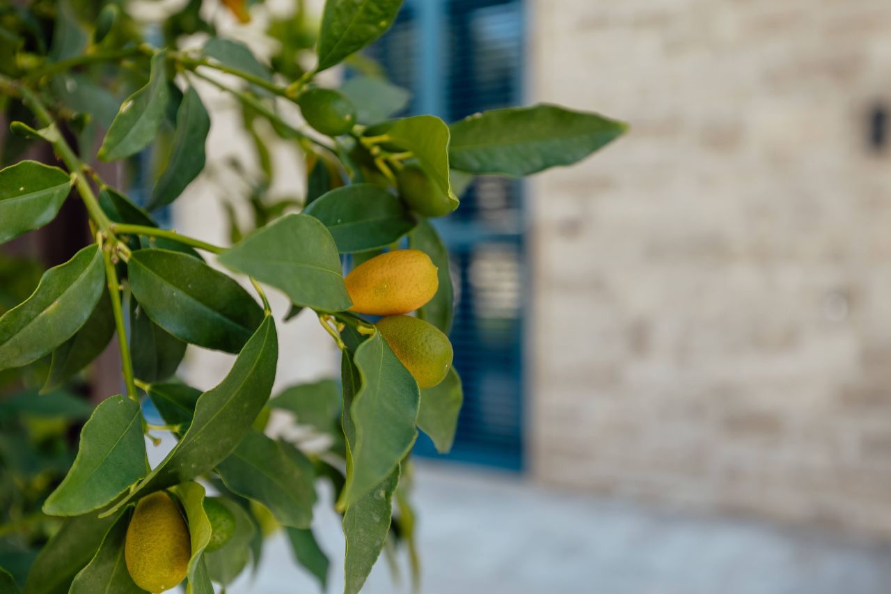 Appartement à Herceg-Novi, Monténégro, 108 m² - image 14