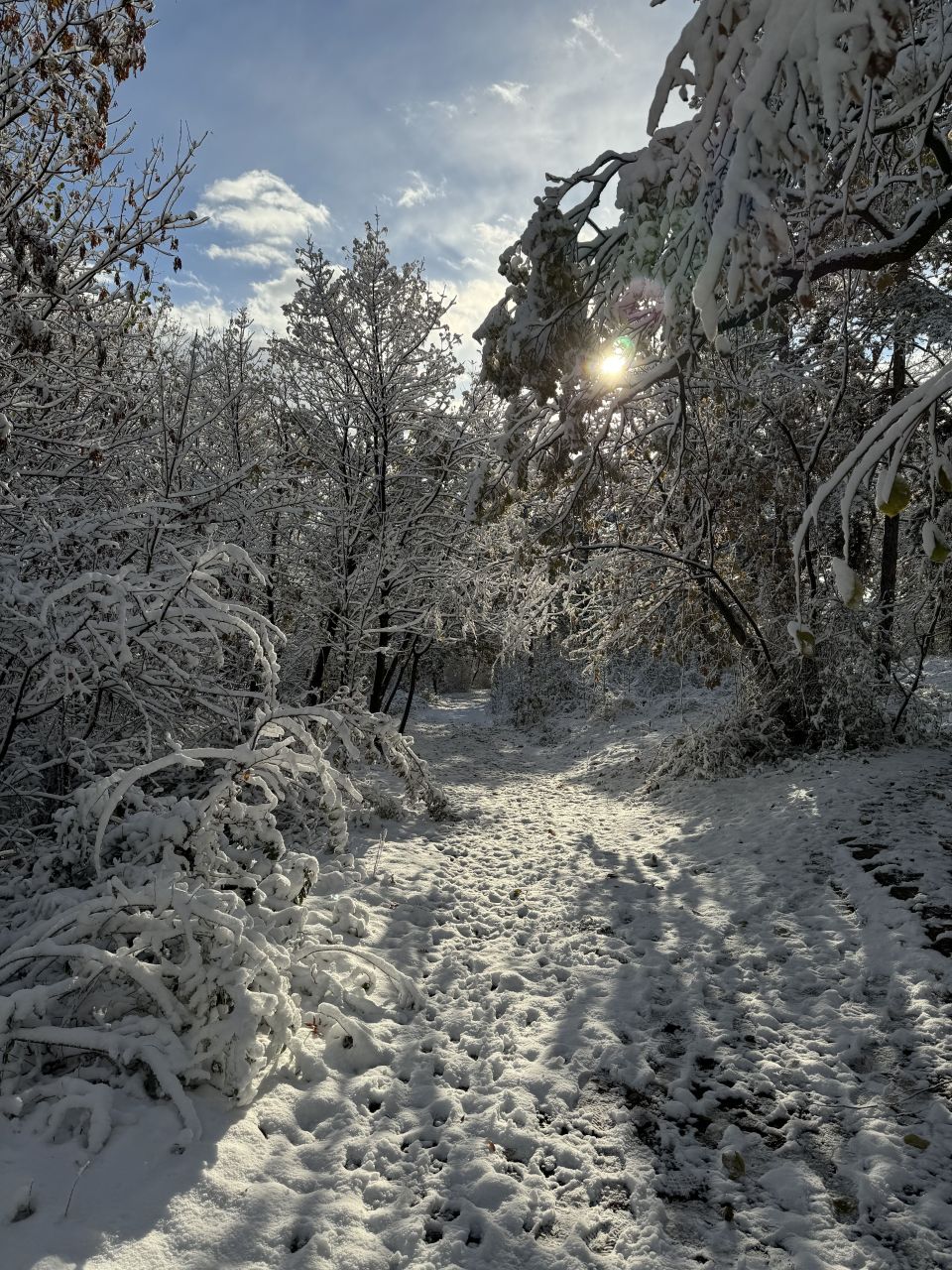 House in Topola, Serbia, 200 m² - picture 15