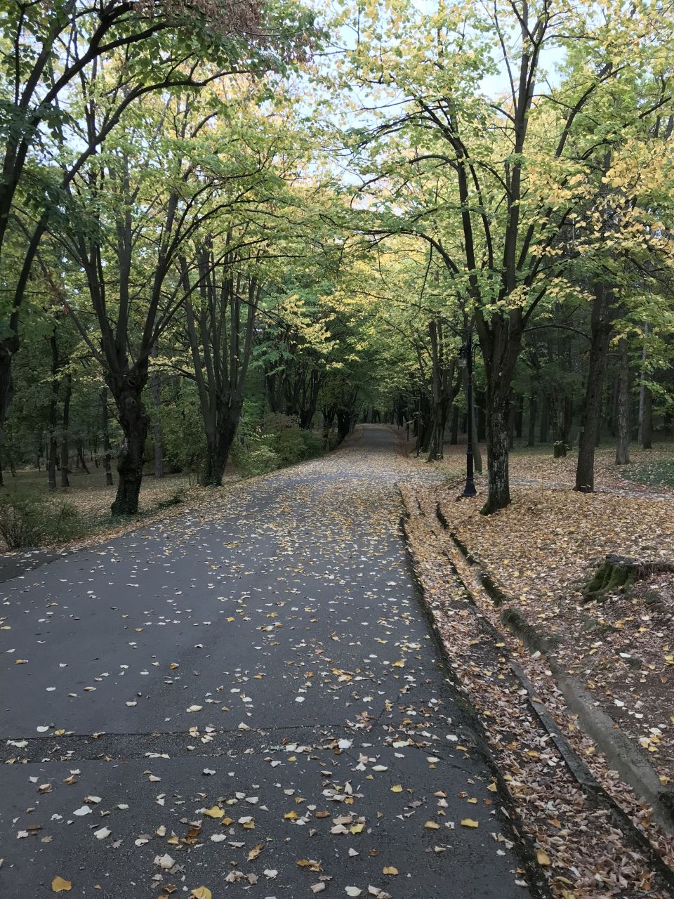 House in Topola, Serbia, 200 m² - picture 12