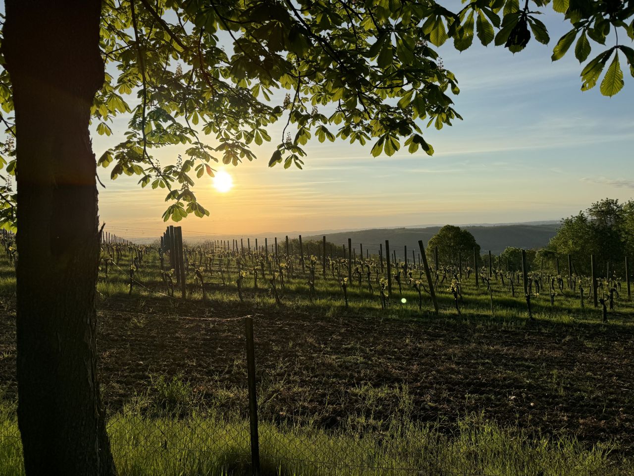 House in Topola, Serbia, 200 m² - picture 11