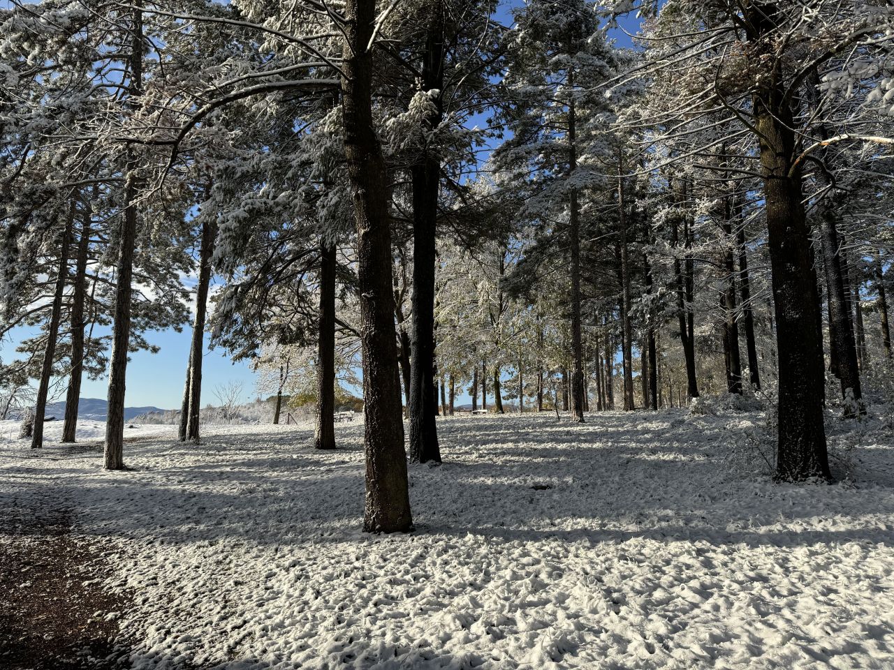 House in Topola, Serbia, 200 m² - picture 16