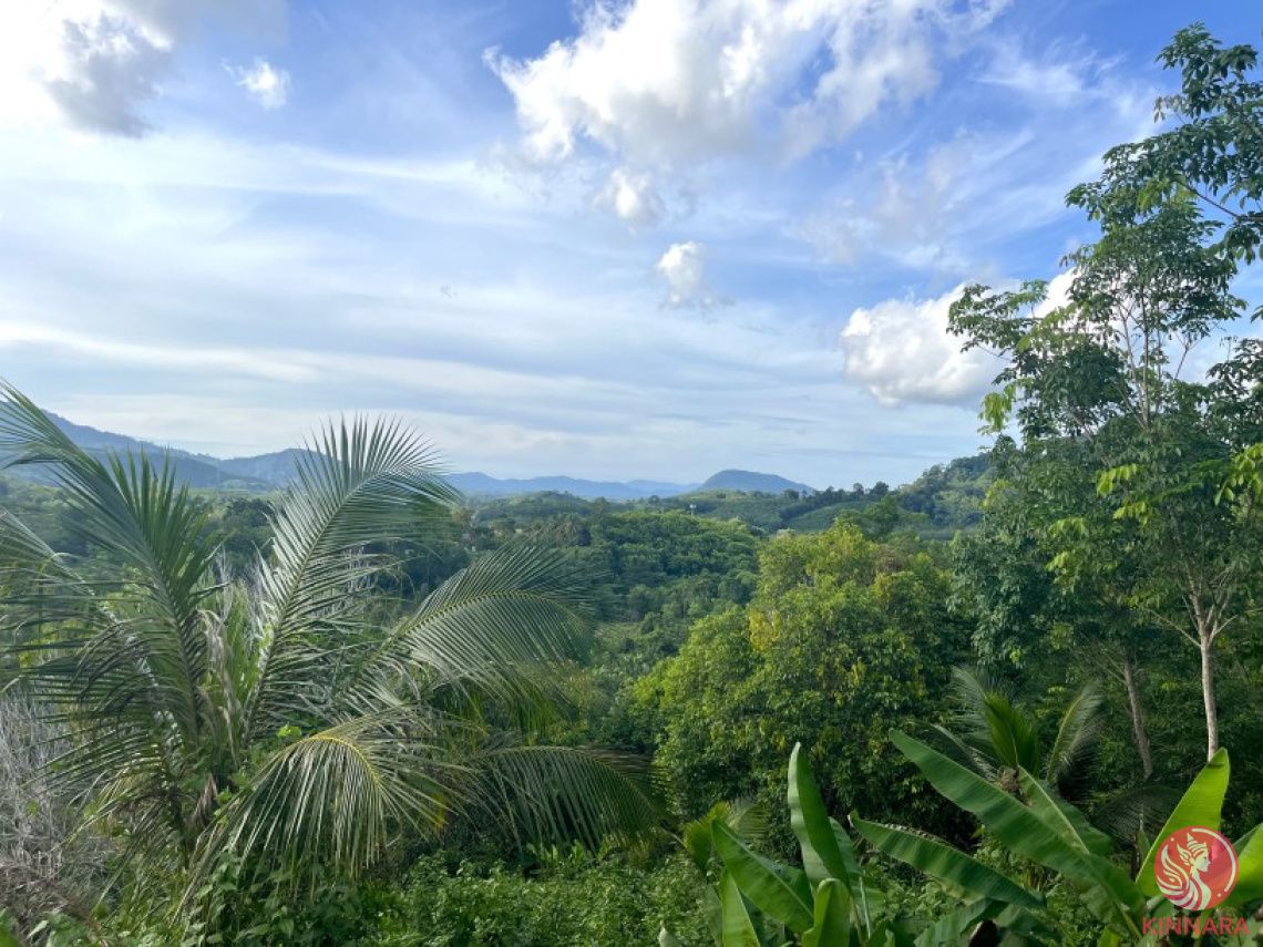 Grundstück in Phang Nga, Thailand, 13 280 m² - Foto 1