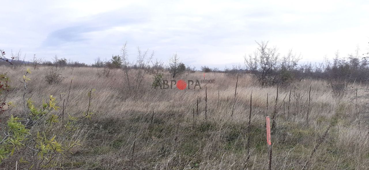 Terrain à Kosharitsa, Bulgarie, 1 175 ares - image 4