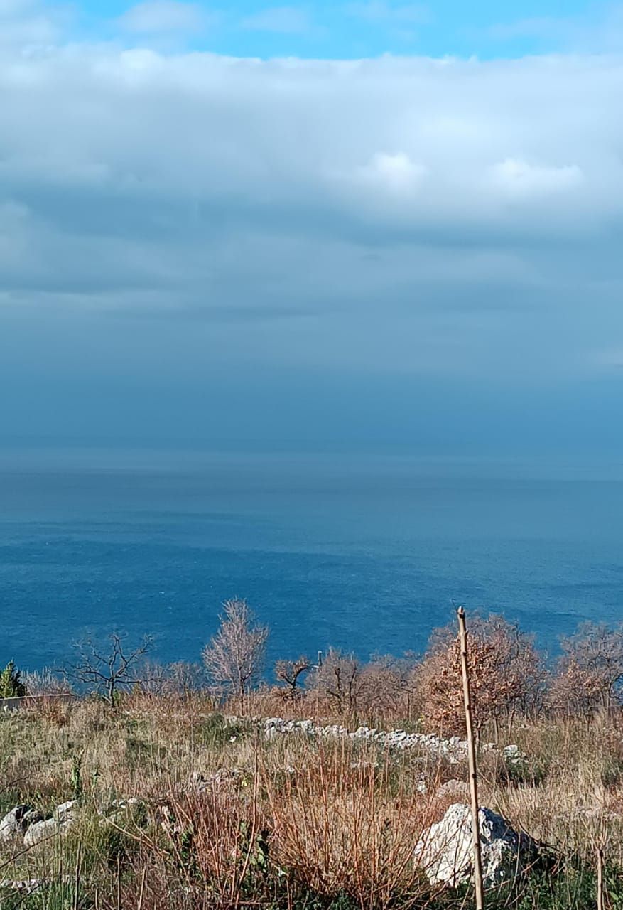 Terreno en Blizikuce, Montenegro, 740 m² - imagen 3