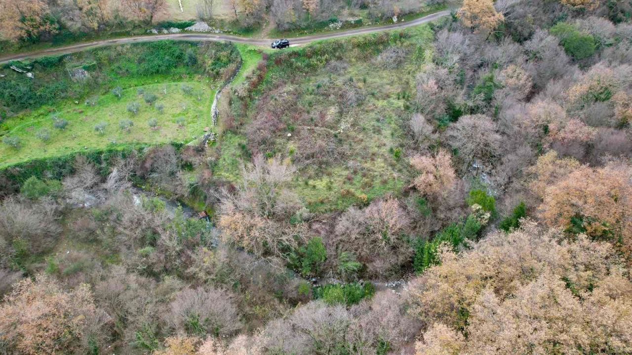 Grundstück in Radanovici, Montenegro, 2 422 m² - Foto 5