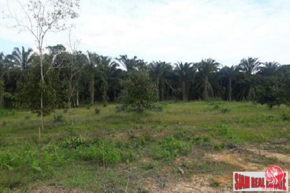 Grundstück in Phang Nga, Thailand, 23 864 m² - Foto 1