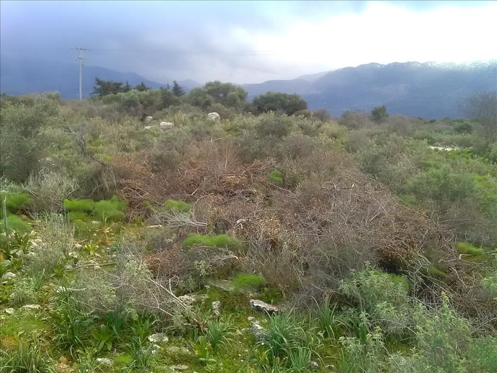 Grundstück in Heraklion, Griechenland, 9 800 m² - Foto 5