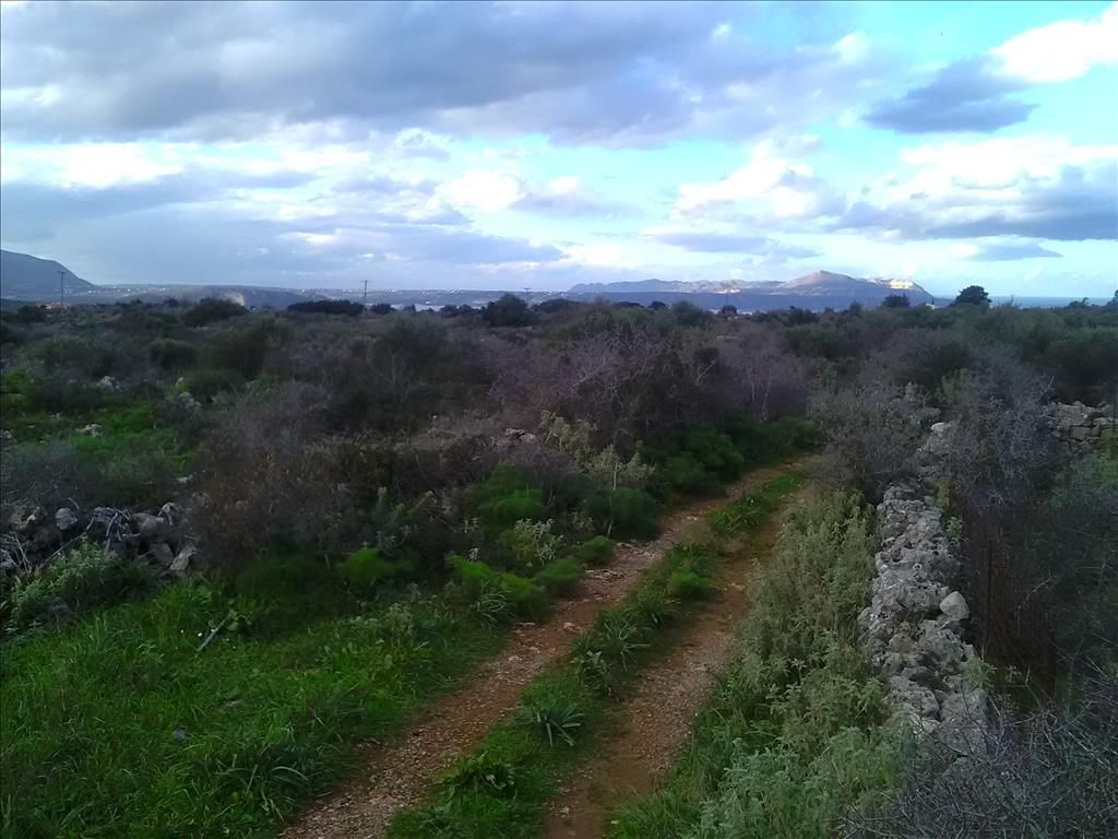 Grundstück in Heraklion, Griechenland, 9 800 m² - Foto 14