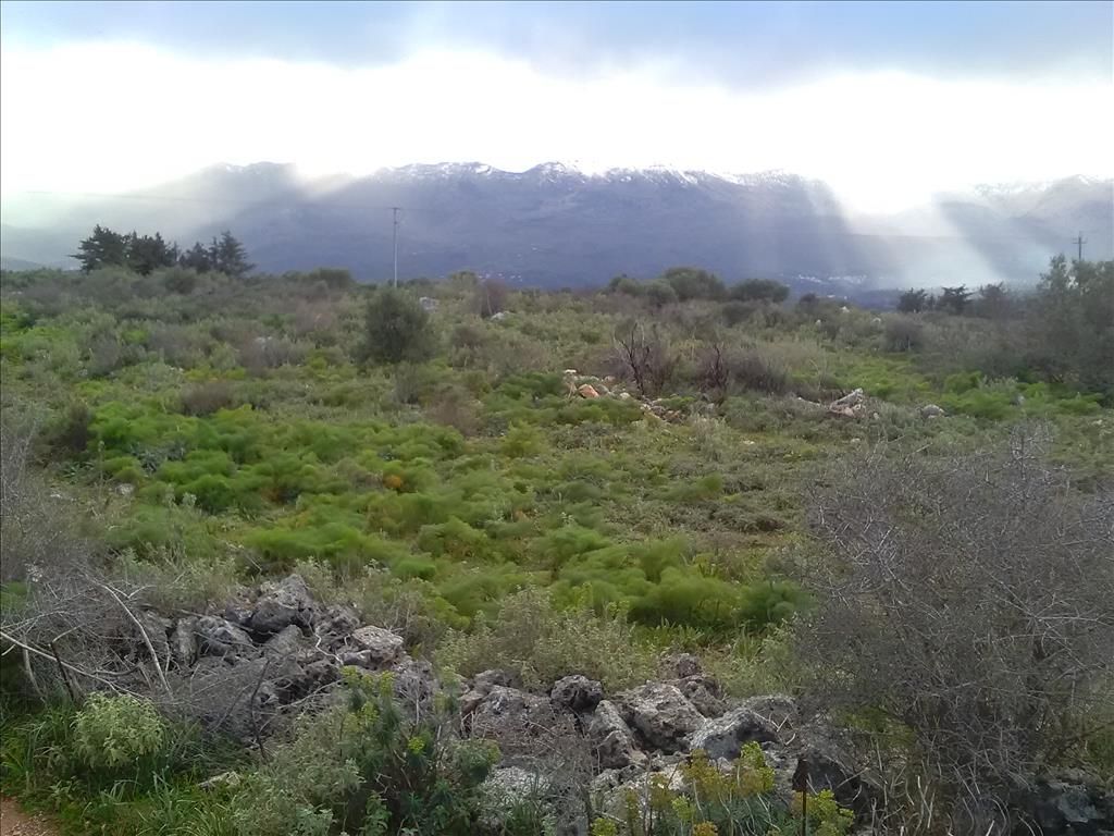 Grundstück in Heraklion, Griechenland, 9 800 m² - Foto 17