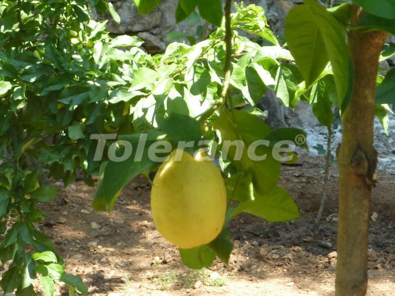 Villa in Kemer, Turkey, 120 m² - picture 14