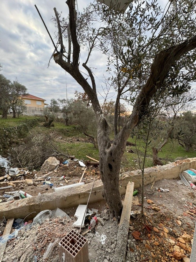 Piso en el Bar, Montenegro, 34 m² - imagen 5