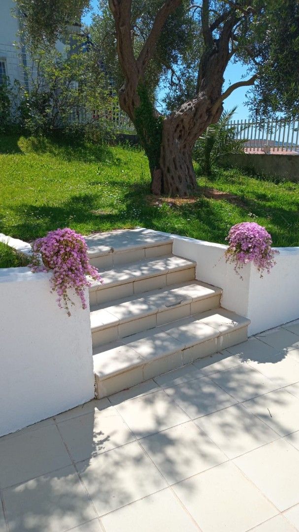 House in Bar, Montenegro, 310 m² - picture 5