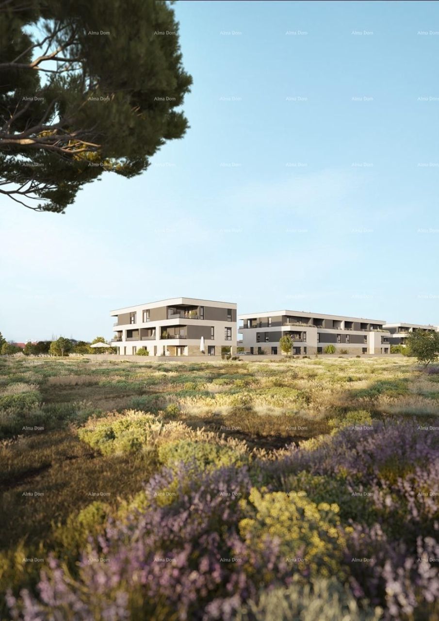 Appartement Istria, Stinjan, Croatie, 61.52 m² - image 9