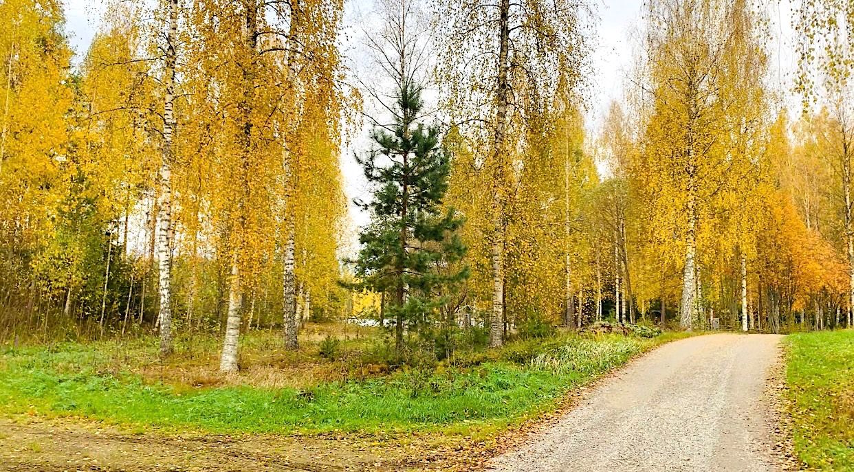 Land in Hameenlinna, Finland, 1.5 ha - picture 11