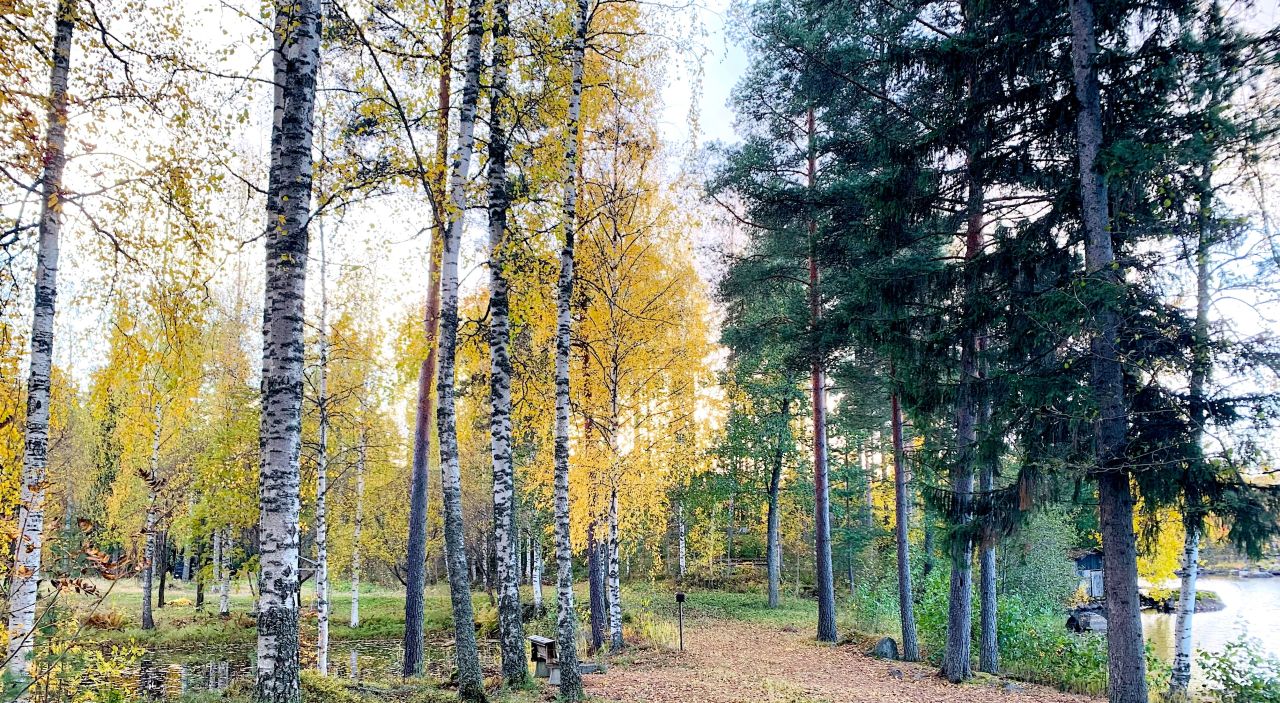 Land in Hameenlinna, Finland, 1.5 ha - picture 8