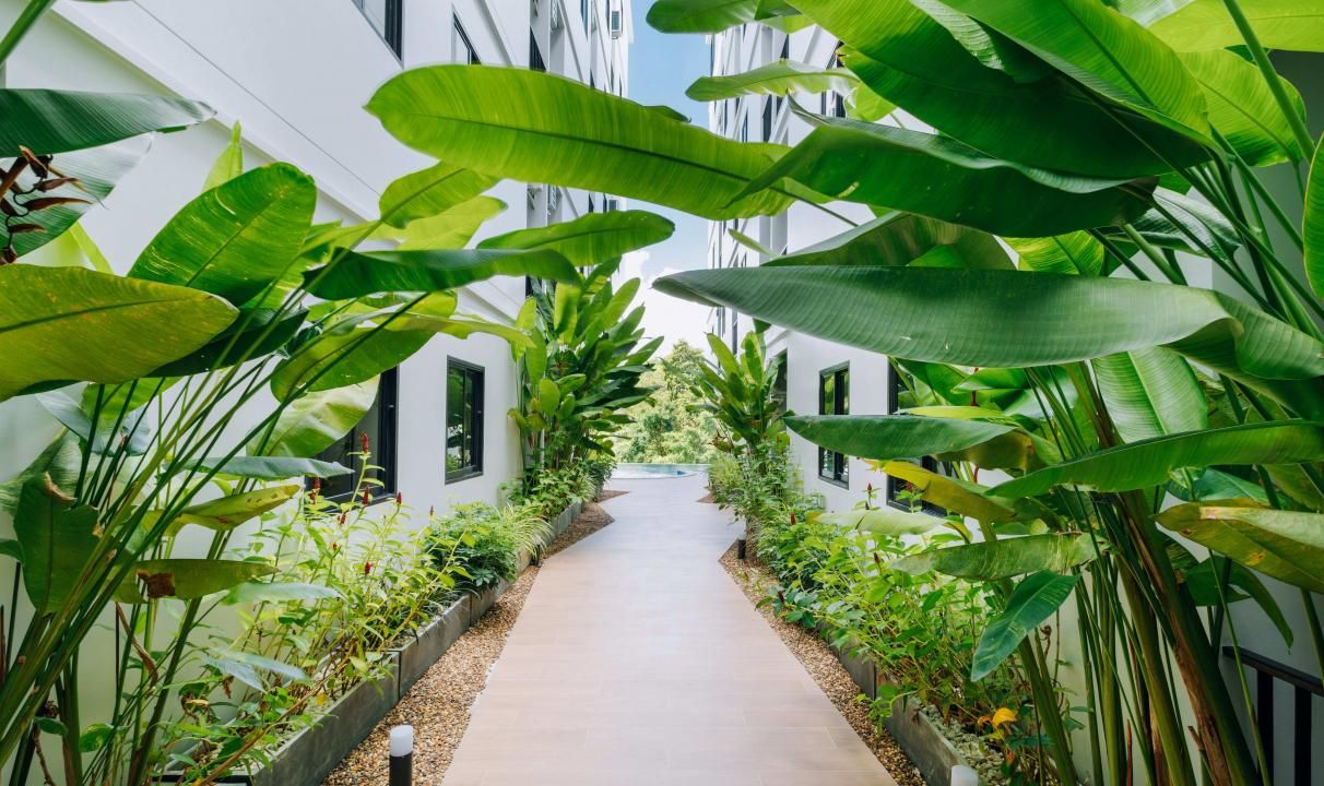 Studio à Phuket, Thaïlande, 21.6 m² - image 15