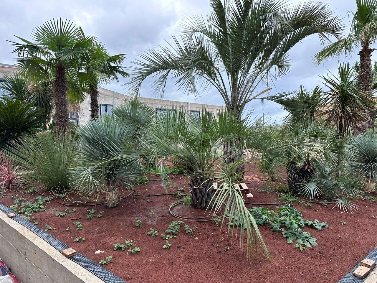 Office in Porec, Croatia, 42.5 m² - picture 16