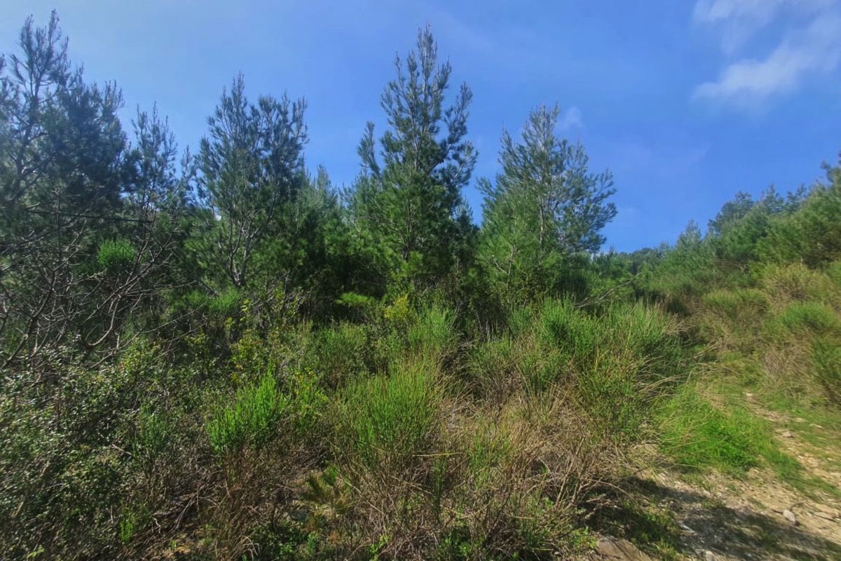 Terreno en Sutomore, Montenegro, 1 727 m² - imagen 5