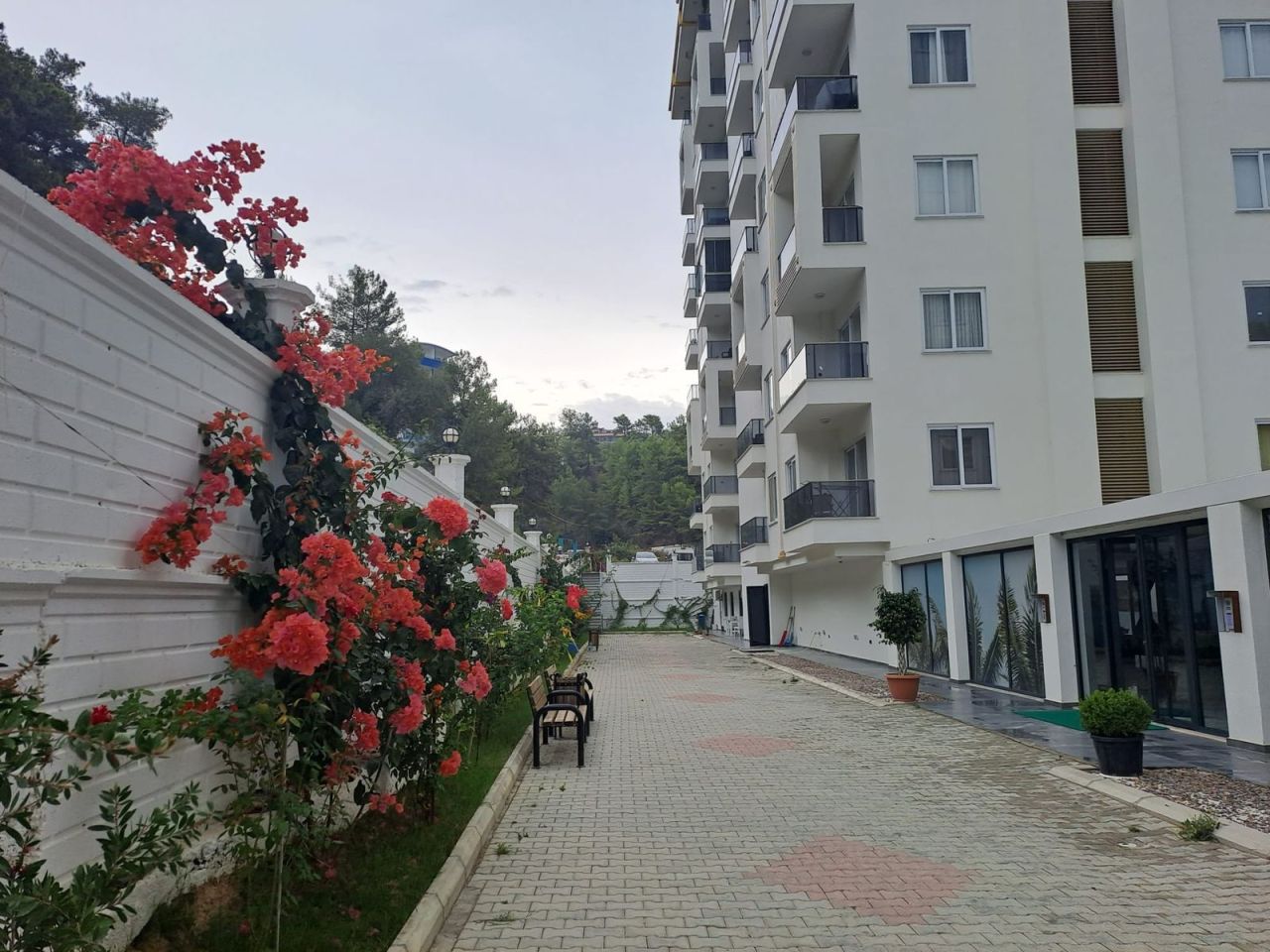 Apartment in Avsallar, Türkei, 42 m² - Foto 14