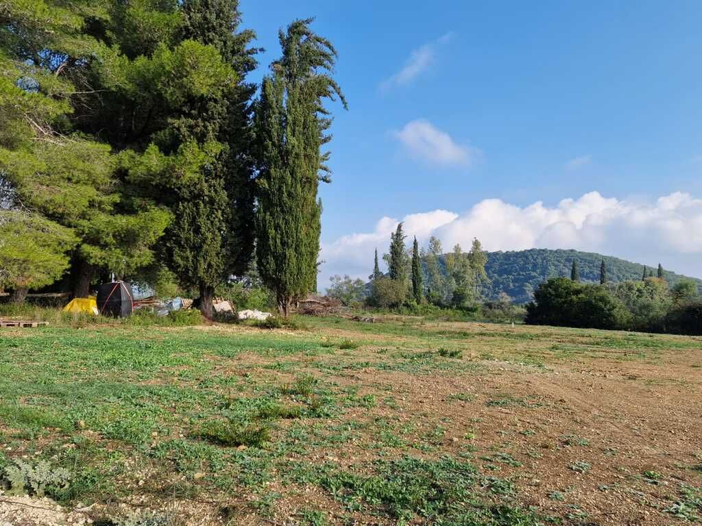 Land in Corfu, Greece, 3 500 m² - picture 1