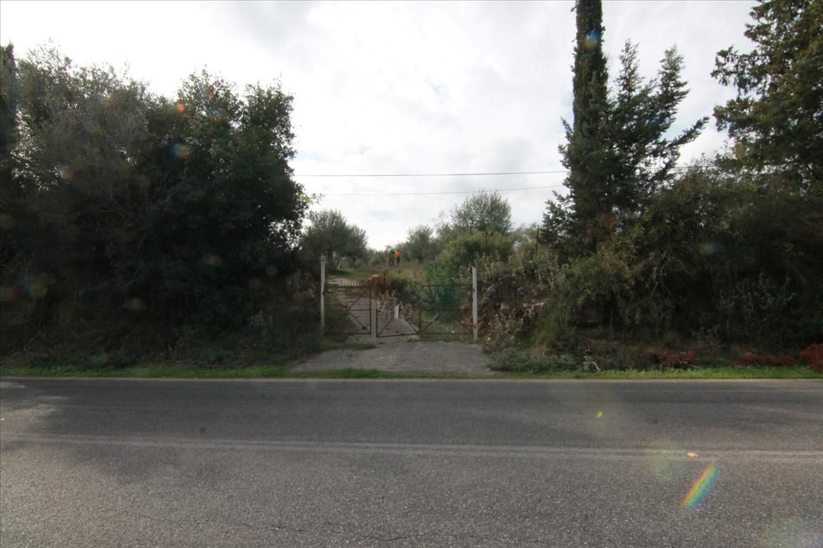 Land in Corfu, Greece, 6 500 m² - picture 1