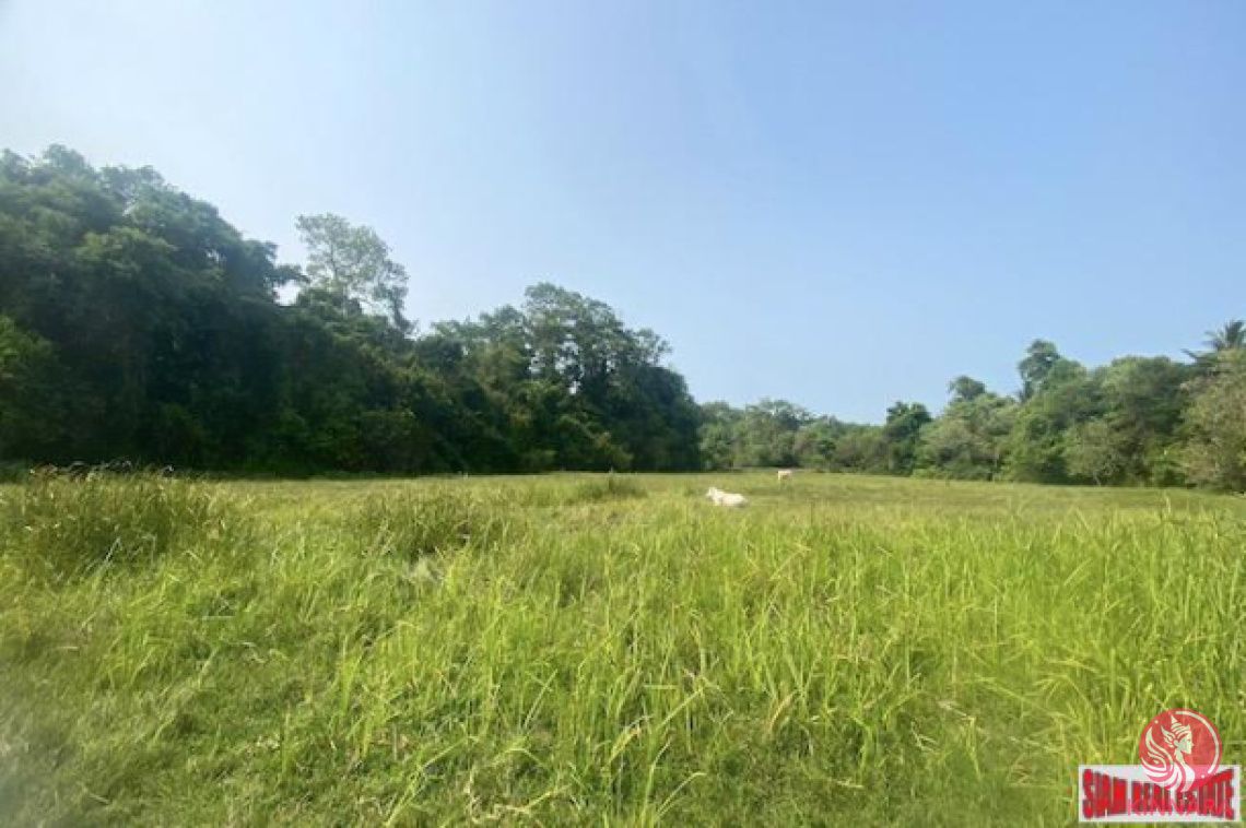 Land in Phuket, Thailand, 7 200 m² - picture 1