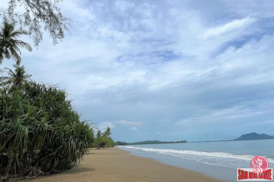 Land in Krabi, Thailand, 8 000 m² - picture 1