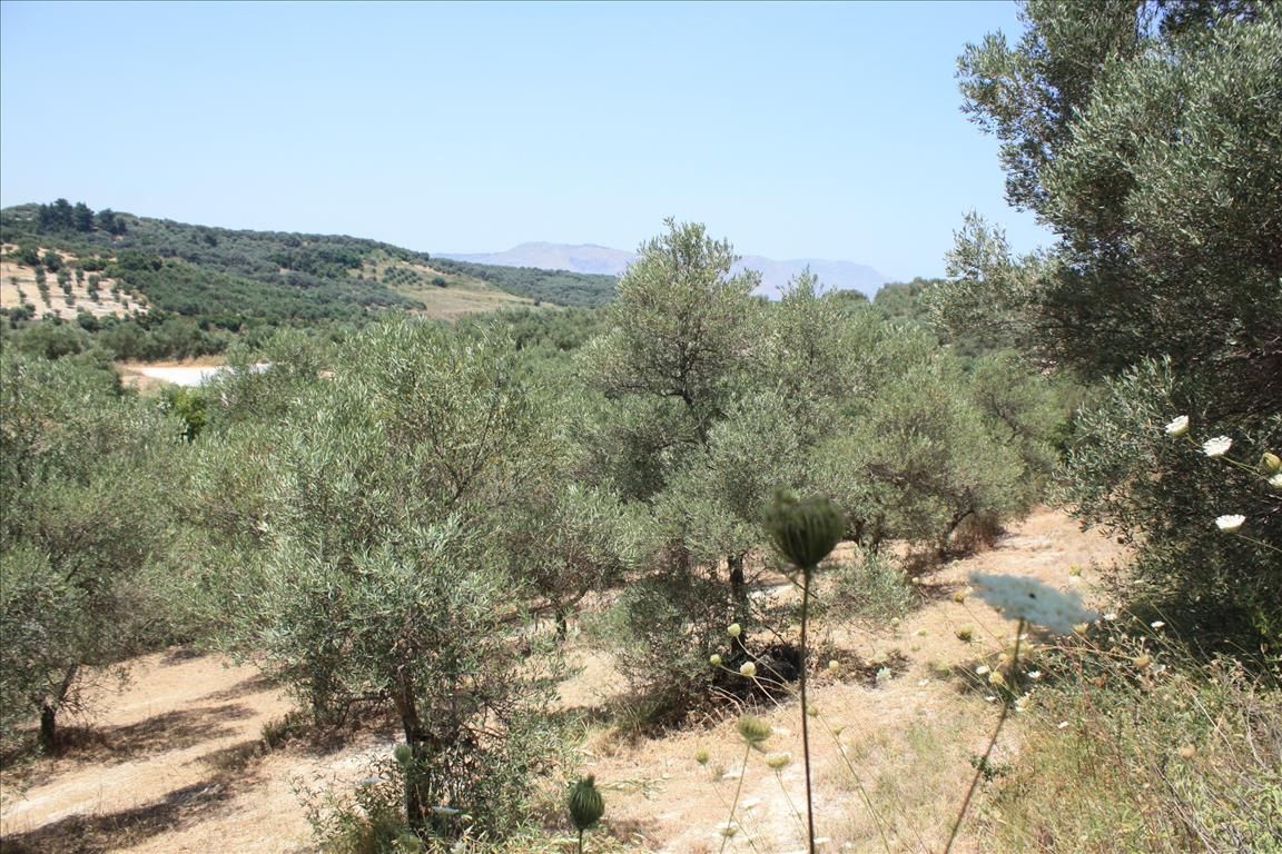 Terrain à Héraklion, Grèce, 4 647 m² - image 4