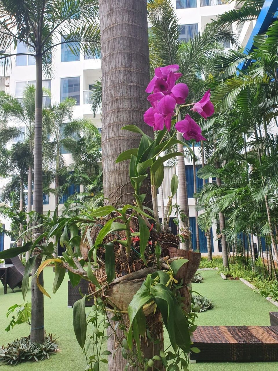 Studio in Pattaya, Thailand, 28 m² - picture 7